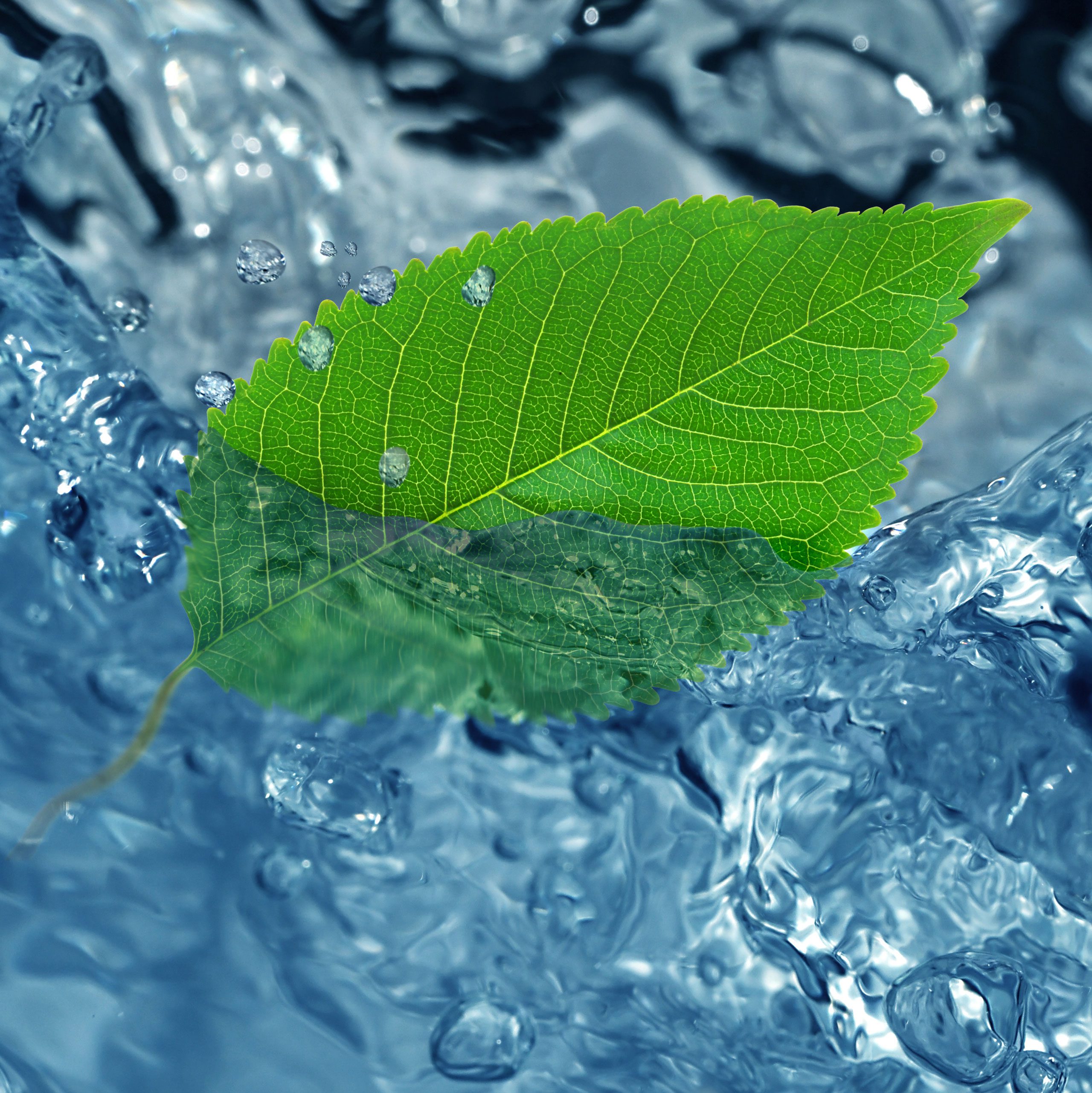 Blatt-im-Wasser-klimaneutrale-Wasserversorgung-Strohgäu-1x1